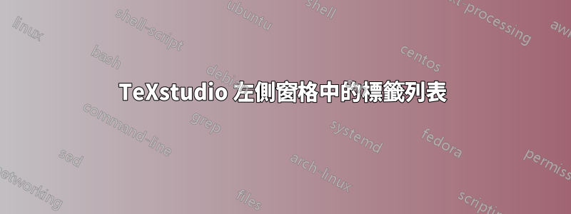 TeXstudio 左側窗格中的標籤列表