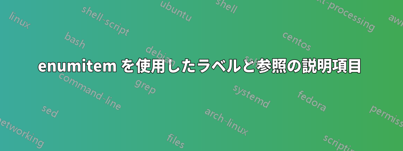 enumitem を使用したラベルと参照の説明項目