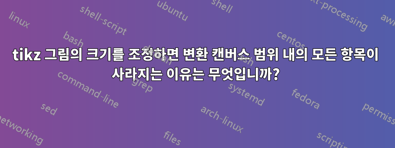 tikz 그림의 크기를 조정하면 변환 캔버스 범위 내의 모든 항목이 사라지는 이유는 무엇입니까?