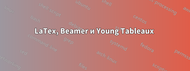 LaTex, Beamer и Young Tableaux