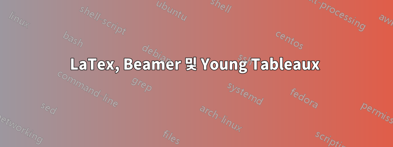 LaTex, Beamer 및 Young Tableaux