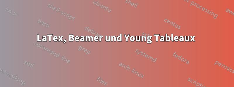 LaTex, Beamer und Young Tableaux