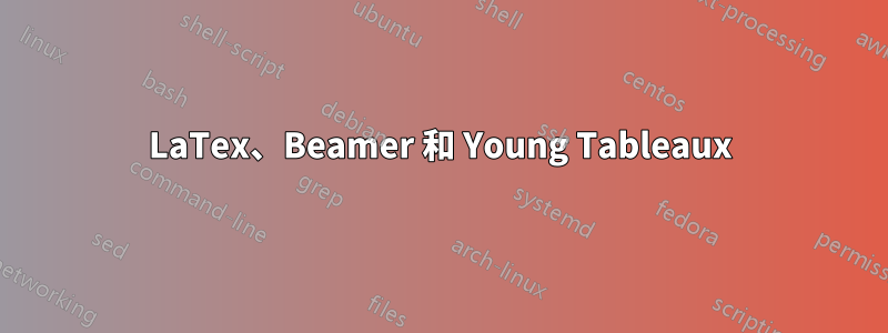 LaTex、Beamer 和 Young Tableaux