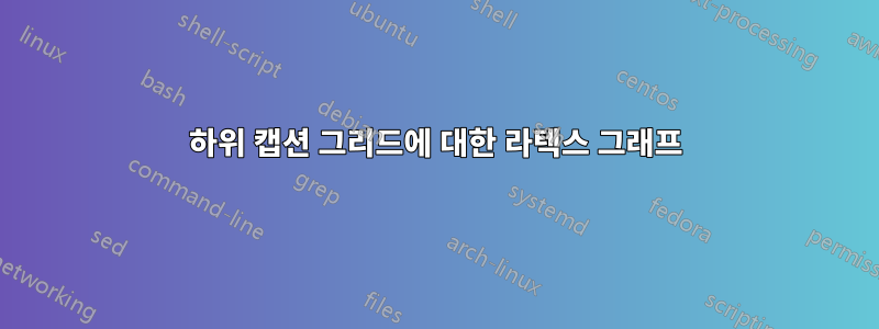 하위 캡션 그리드에 대한 라텍스 그래프