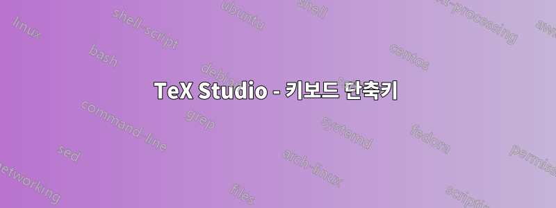 TeX Studio - 키보드 단축키