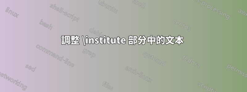 調整 \institute 部分中的文本