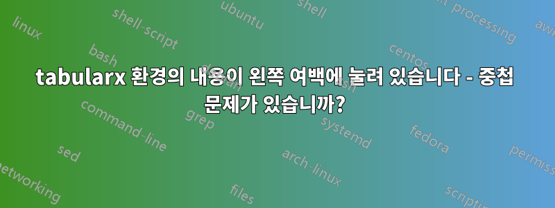 tabularx 환경의 내용이 왼쪽 여백에 눌려 있습니다 - 중첩 문제가 있습니까?