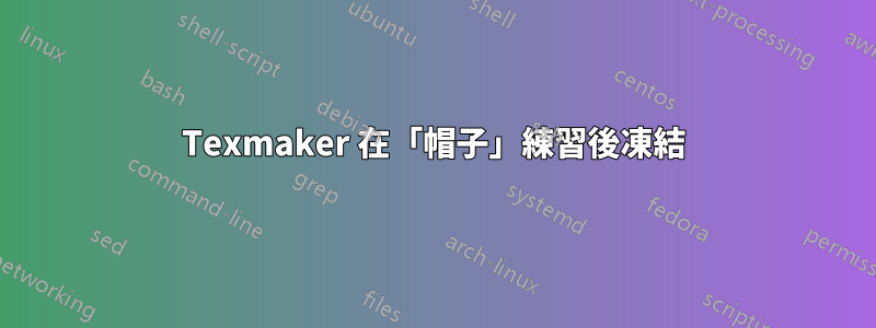 Texmaker 在「帽子」練習後凍結