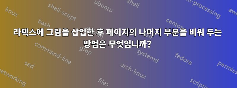 라텍스에 그림을 삽입한 후 페이지의 나머지 부분을 비워 두는 방법은 무엇입니까?