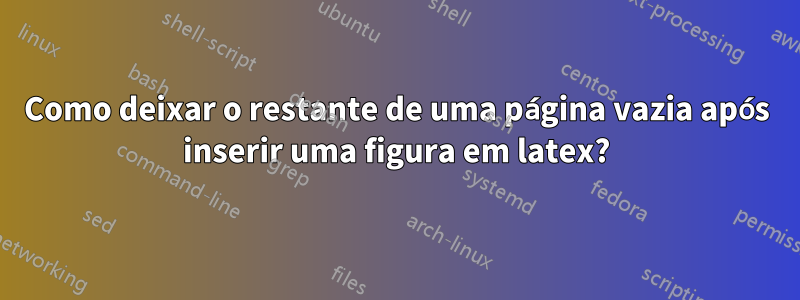 Como deixar o restante de uma página vazia após inserir uma figura em latex?