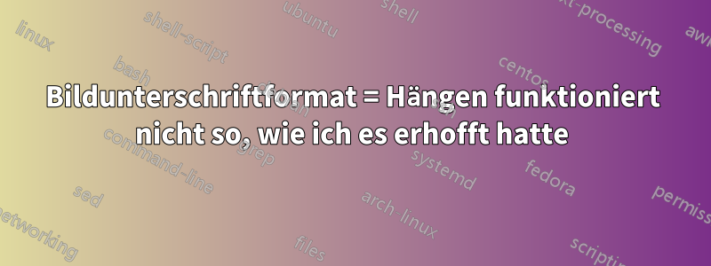 Bildunterschriftformat = Hängen funktioniert nicht so, wie ich es erhofft hatte