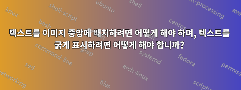 텍스트를 이미지 중앙에 배치하려면 어떻게 해야 하며, 텍스트를 굵게 표시하려면 어떻게 해야 합니까?