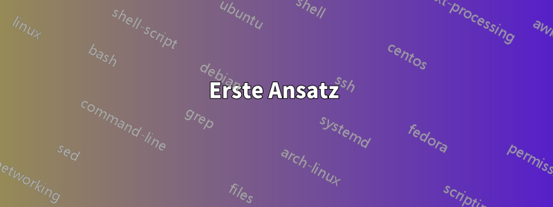 Erste Ansatz