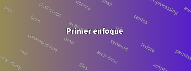 Primer enfoque