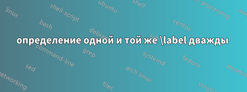 определение одной и той же \label дважды