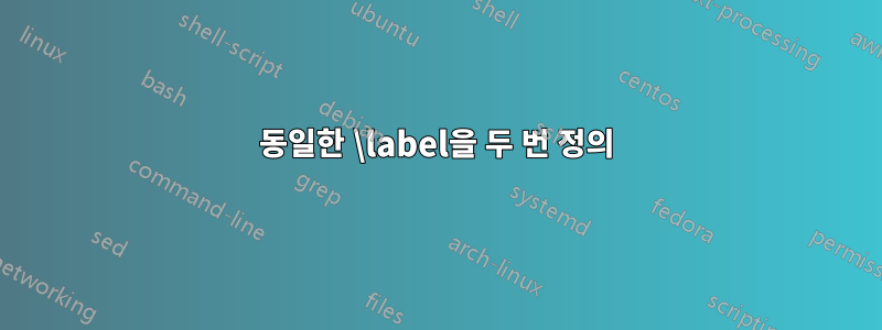 동일한 \label을 두 번 정의