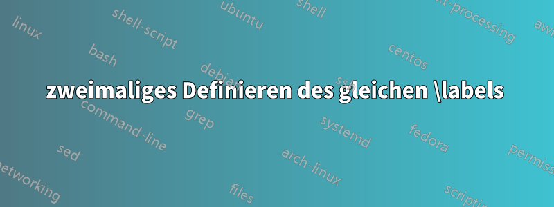 zweimaliges Definieren des gleichen \labels