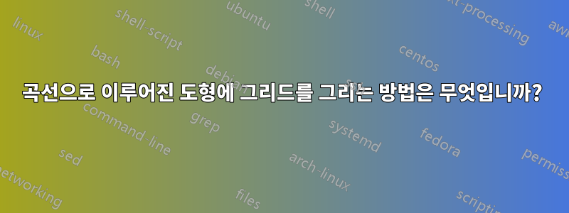 곡선으로 이루어진 도형에 그리드를 그리는 방법은 무엇입니까?