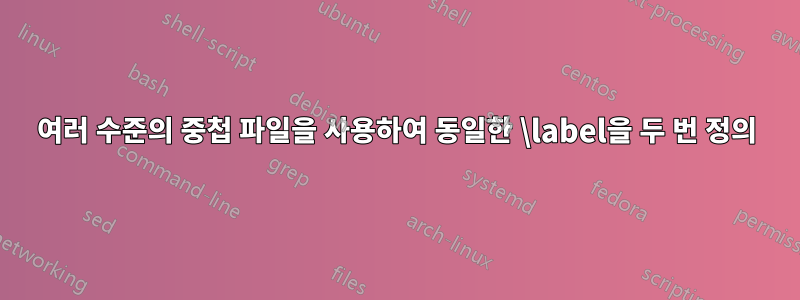 여러 수준의 중첩 파일을 사용하여 동일한 \label을 두 번 정의