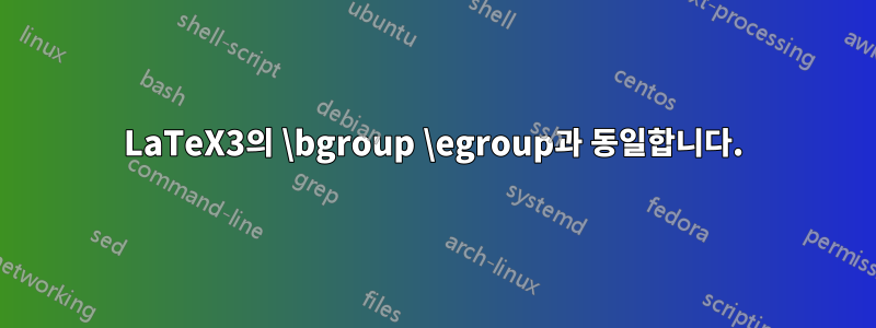 LaTeX3의 \bgroup \egroup과 동일합니다.