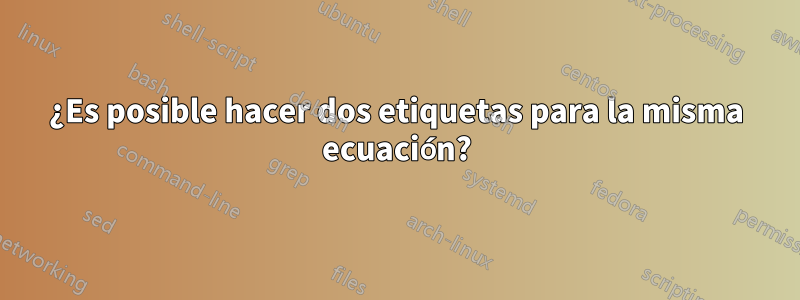 ¿Es posible hacer dos etiquetas para la misma ecuación?