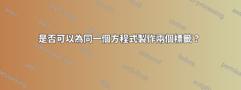 是否可以為同一個方程式製作兩個標籤？