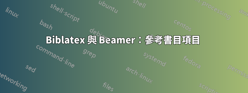 Biblatex 與 Beamer：參考書目項目