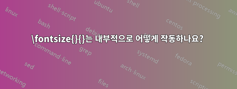 \fontsize{}{}는 내부적으로 어떻게 작동하나요?