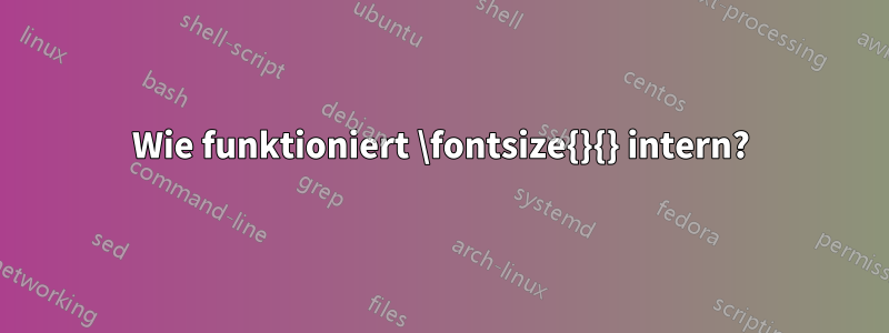 Wie funktioniert \fontsize{}{} intern?