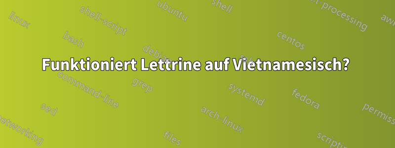 Funktioniert Lettrine auf Vietnamesisch?