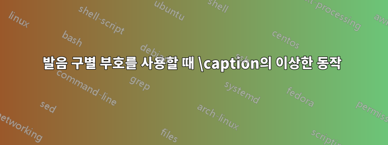 발음 구별 부호를 사용할 때 \caption의 이상한 동작