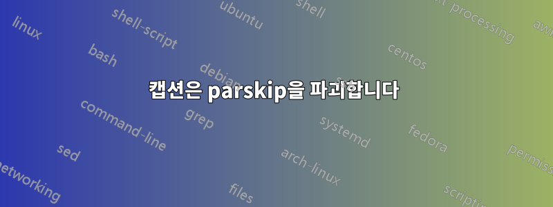 캡션은 parskip을 파괴합니다