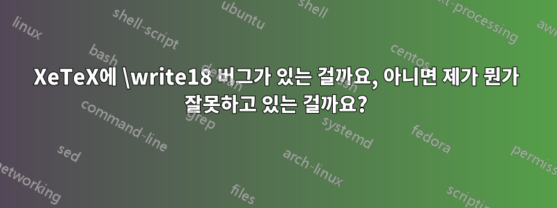 XeTeX에 \write18 버그가 있는 걸까요, 아니면 제가 뭔가 잘못하고 있는 걸까요?