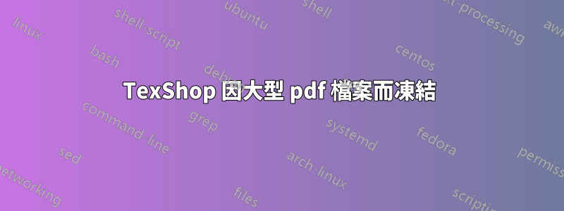 TexShop 因大型 pdf 檔案而凍結