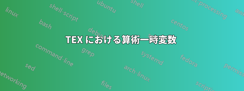 TEX における算術一時変数