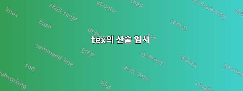 tex의 산술 임시