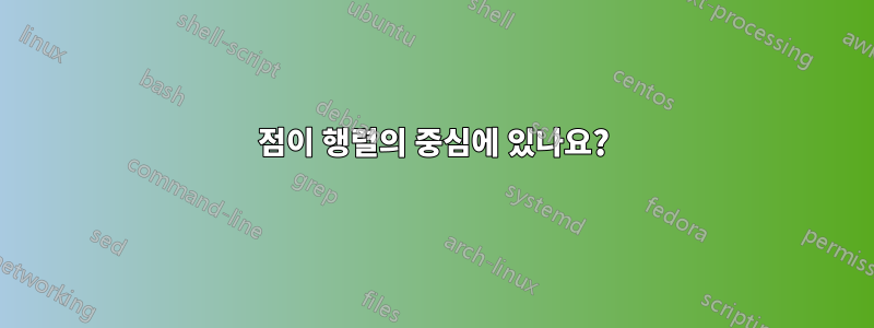 점이 행렬의 중심에 있나요?