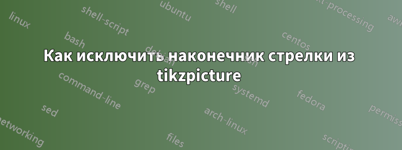 Как исключить наконечник стрелки из tikzpicture