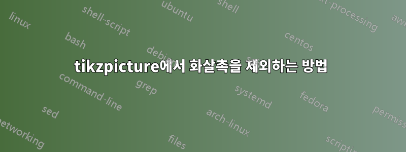 tikzpicture에서 화살촉을 제외하는 방법