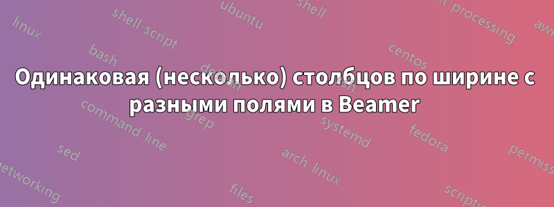 Одинаковая (несколько) столбцов по ширине с разными полями в Beamer