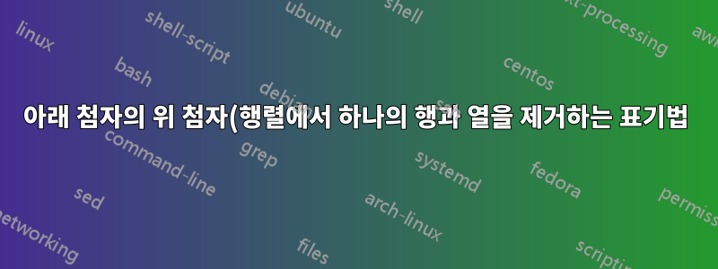 아래 첨자의 위 첨자(행렬에서 하나의 행과 열을 제거하는 표기법)