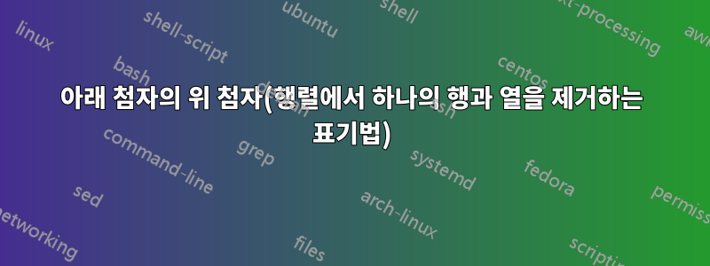 아래 첨자의 위 첨자(행렬에서 하나의 행과 열을 제거하는 표기법)