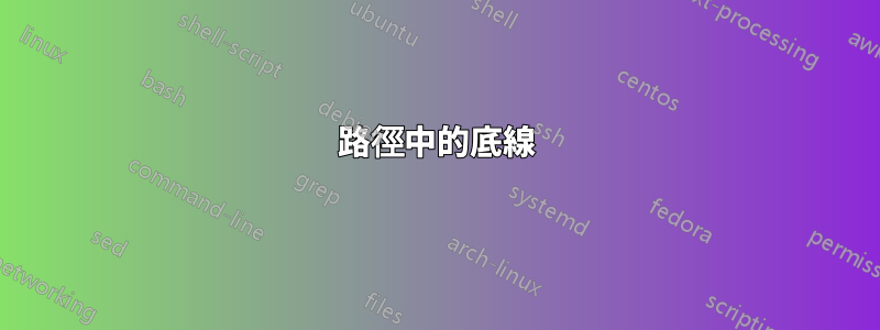 路徑中的底線