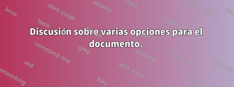 Discusión sobre varias opciones para el documento.