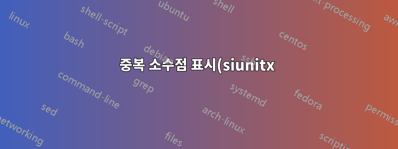 중복 소수점 표시(siunitx)