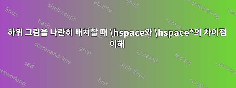 하위 그림을 나란히 배치할 때 \hspace와 \hspace*의 차이점 이해