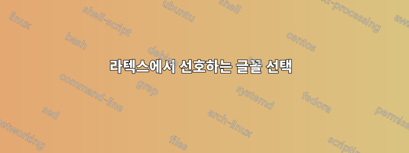 라텍스에서 선호하는 글꼴 선택 