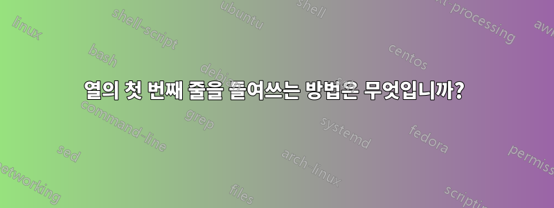 열의 첫 번째 줄을 들여쓰는 방법은 무엇입니까?