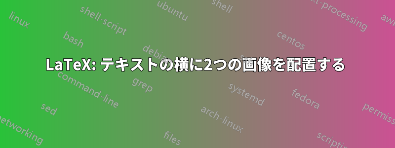 LaTeX: テキストの横に2つの画像を配置する