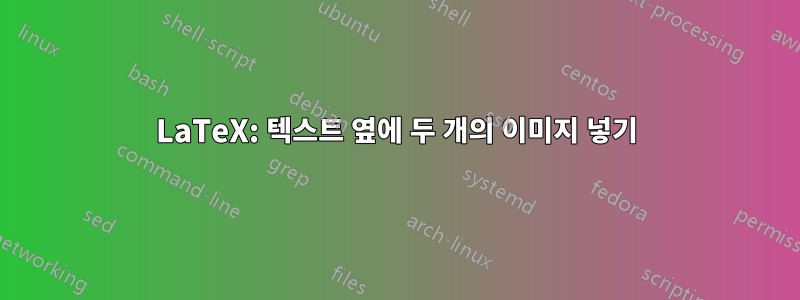 LaTeX: 텍스트 옆에 두 개의 이미지 넣기